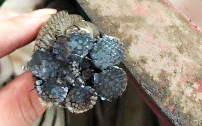 Strictquality inspection